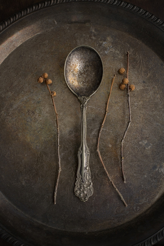 Twig and Spoon Still Life