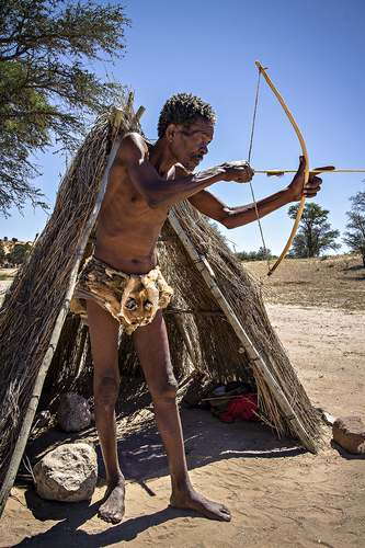 Festus the Bushmen Festus the Bushmen
