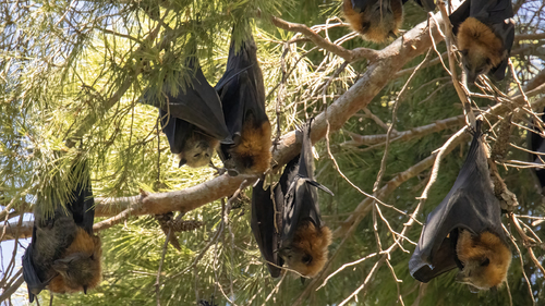 Hanging Around