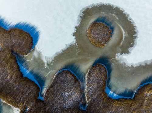 Frozen Estuary #524