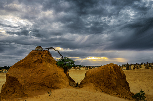 Pinnacles National Park n 2