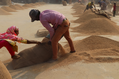 DAILY LIFE RICE MILL WORKERS