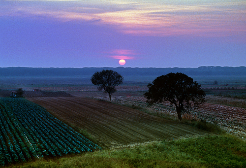 Sunset in countryside