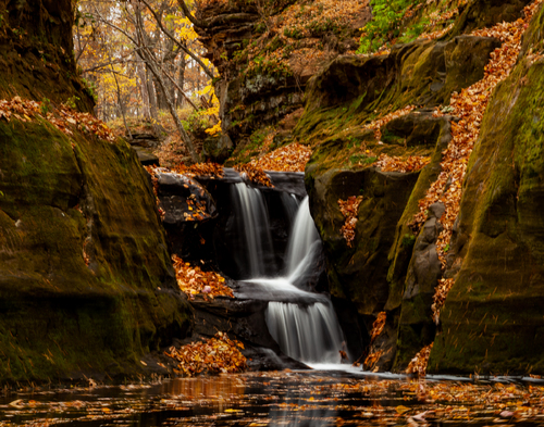 Autumn on Skillet Creek