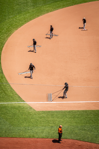 Grounds Crew, San Francisco, 2013