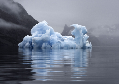 Blue Iceberg In Fog Greenland 7022