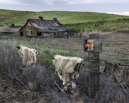 Palouse Barn 9901