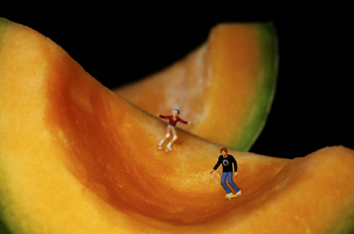 Melon Boarding