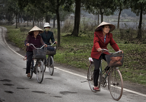 Beauties on Bicycle