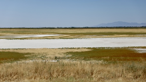 A Scene of the Great Salt Lake