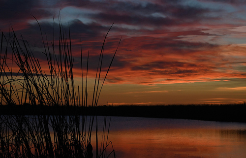 Sunset Kiss to the Night