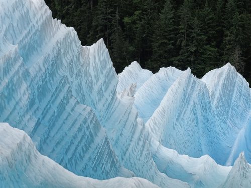 LeConte Glacier Iceberg