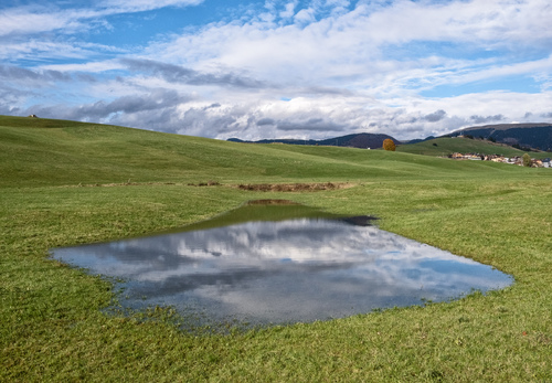 an eye in the field