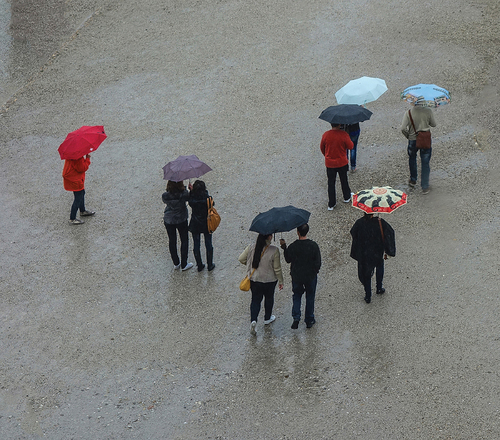 Umbrellas