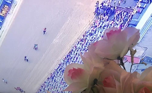 Preakness through the flowers