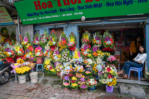 Vietnam Flowers