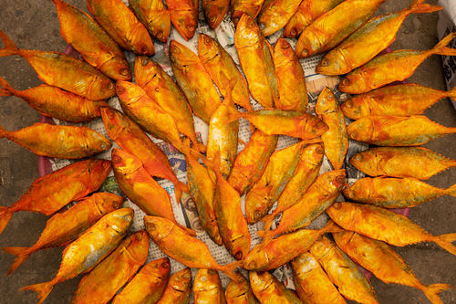 Drying Fish