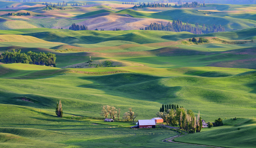 Palouse Farm