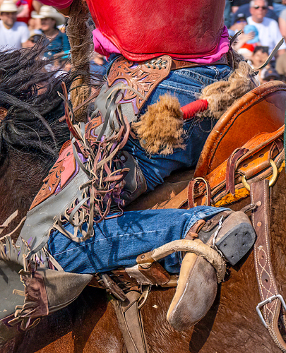 American Cowboy