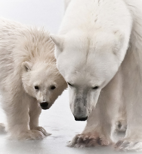 Mother and Child in White