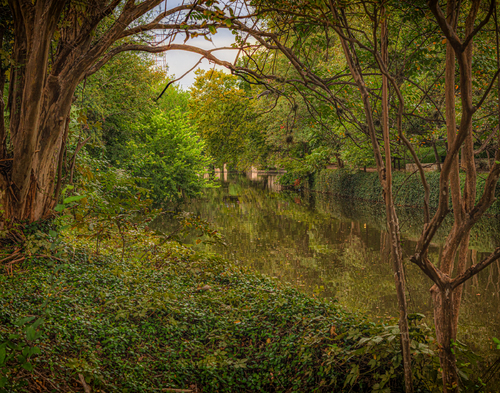 San Antonio River Bank