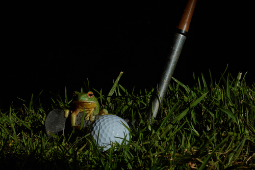 Night Golf