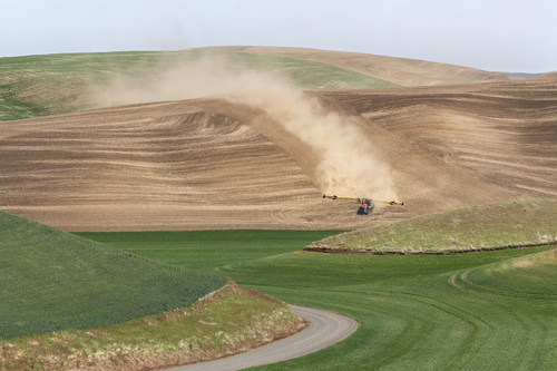 Trailblazer For Winter Wheat