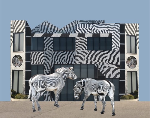 Checking Into The Zebra Hotel