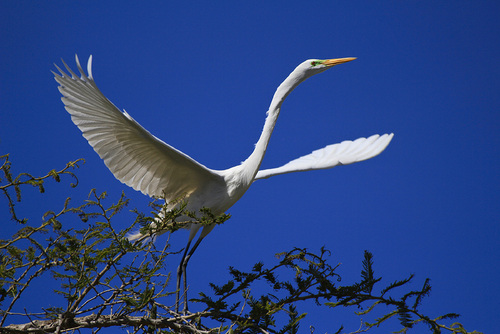 Taking Off