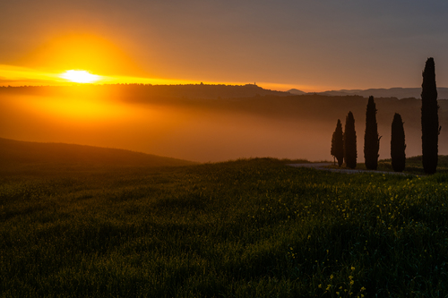 Sunset in Tuscany