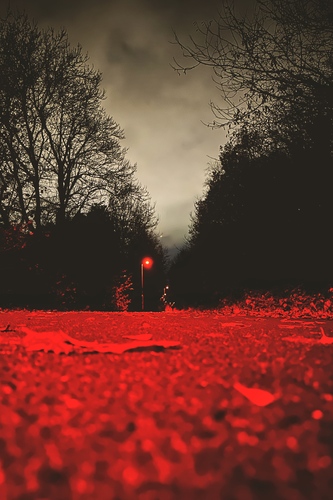 The Red Path