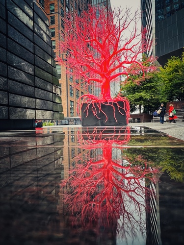 Red Reflection