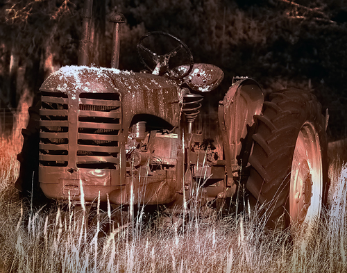 Out to Pasture