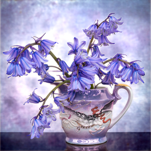 Bluebells in a blue Jug