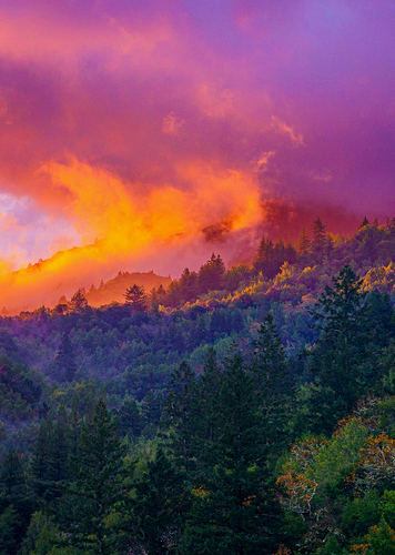 Clouds On Fire 