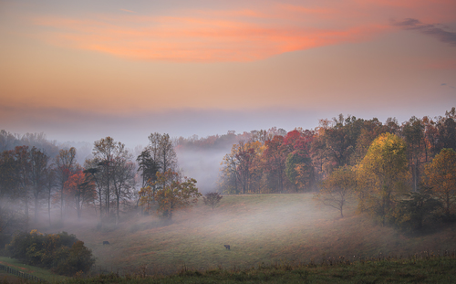 Virginia Autumn