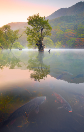 Early Autumn, JusanJi