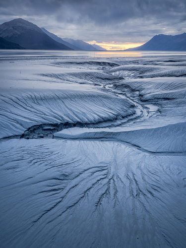 Mud Patterns