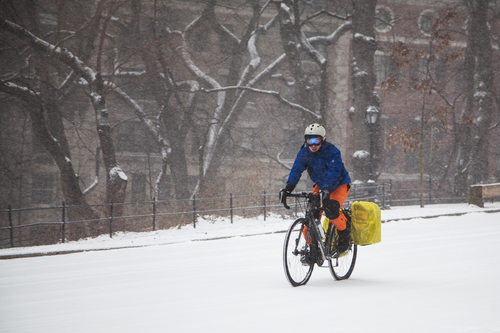 The Intrepid Biker 