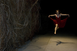 Fly in Red Color Awards Winners and Nominees