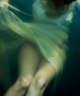 Myosotis Color Awards Winners and Nominees