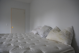 Sonoma Bed Color Awards Winners and Nominees