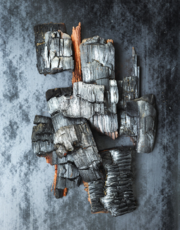 Charcoal Color Awards Winners and Nominees