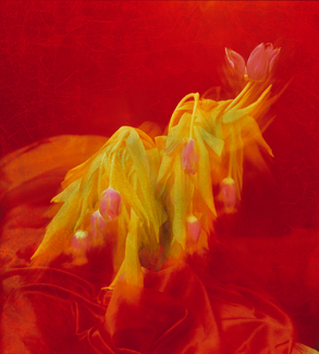 RITA Color Awards Winners and Nominees