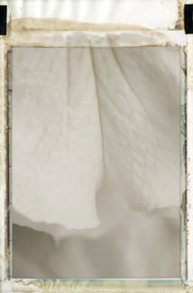 WHITE Color Awards Winners and Nominees