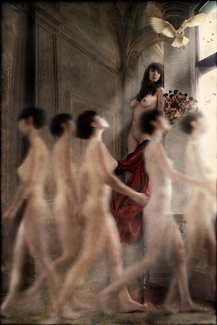 Abbey Road Color Awards Winners and Nominees