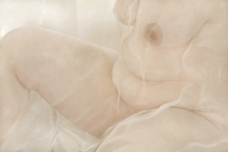 Petra Color Awards Winners and Nominees