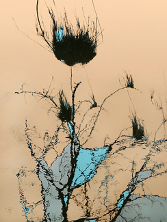 Botanic Color Awards Winners and Nominees