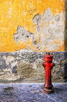 I wasn't born to lo(o)se you Color Awards Winners and Nominees