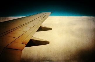 Wing Color Awards Winners and Nominees